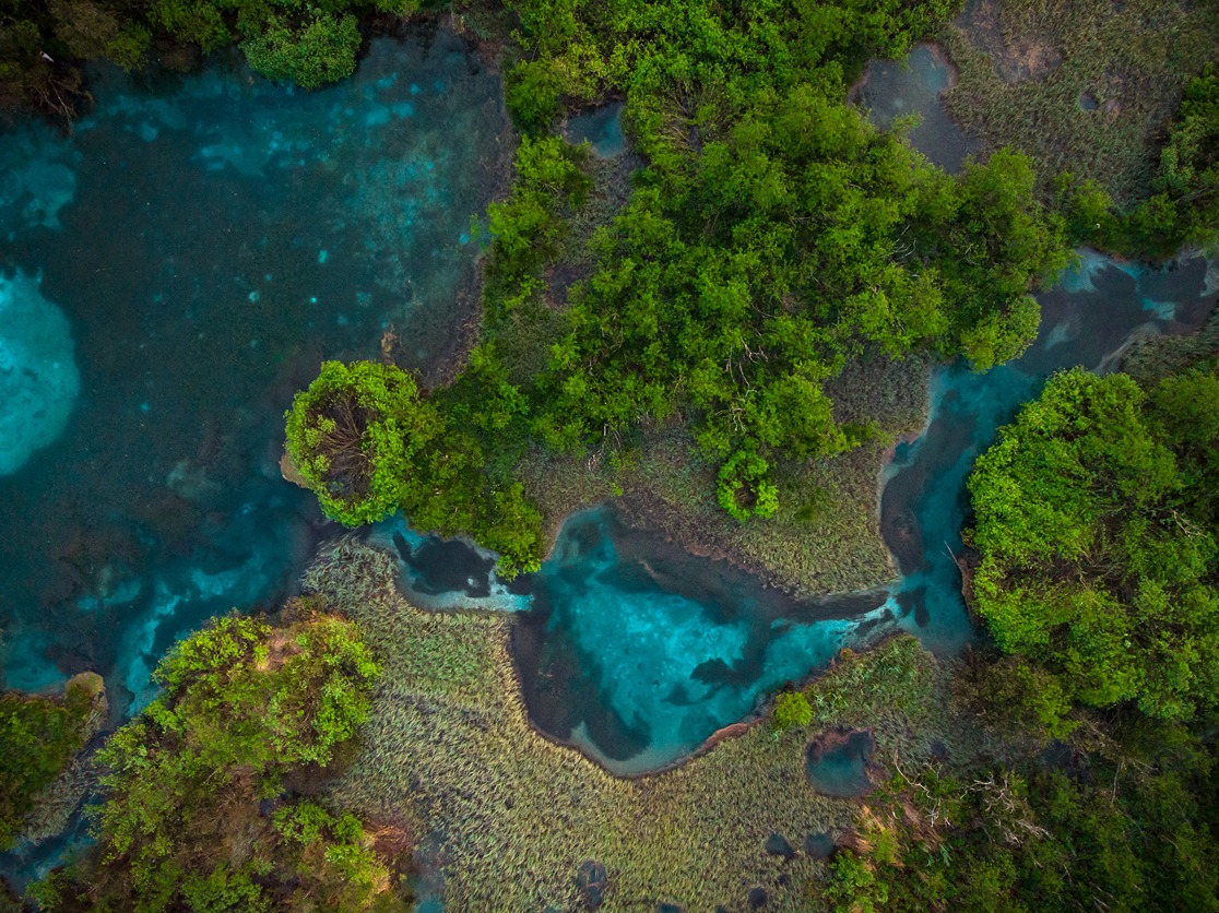 Lake and Greenery